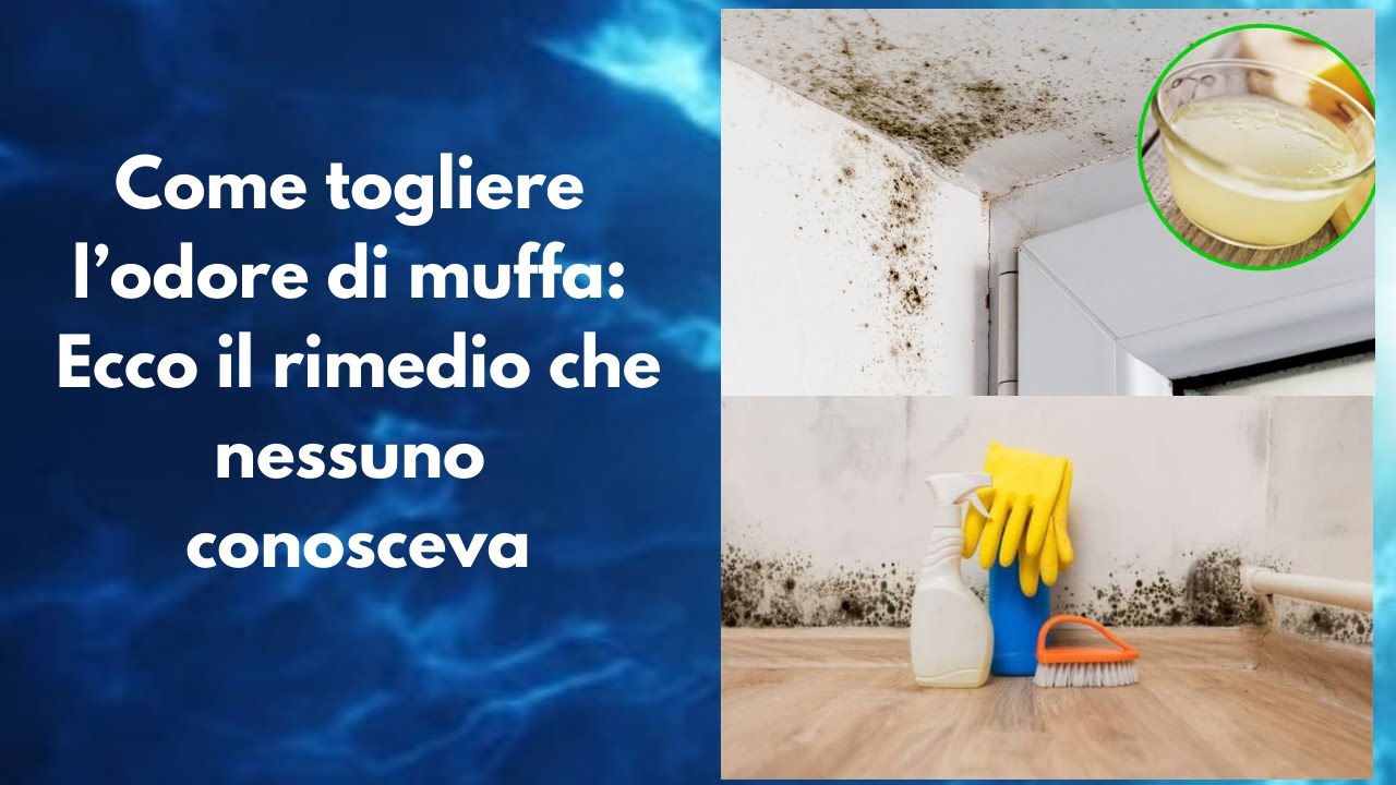 Come togliere l’odore di muffa: ecco il rimedio che nessuno conosceva
