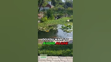 HOW TO PREVENT ALGAE IN YOUR GARDEN POND AND KEEP CLEAR WATER!