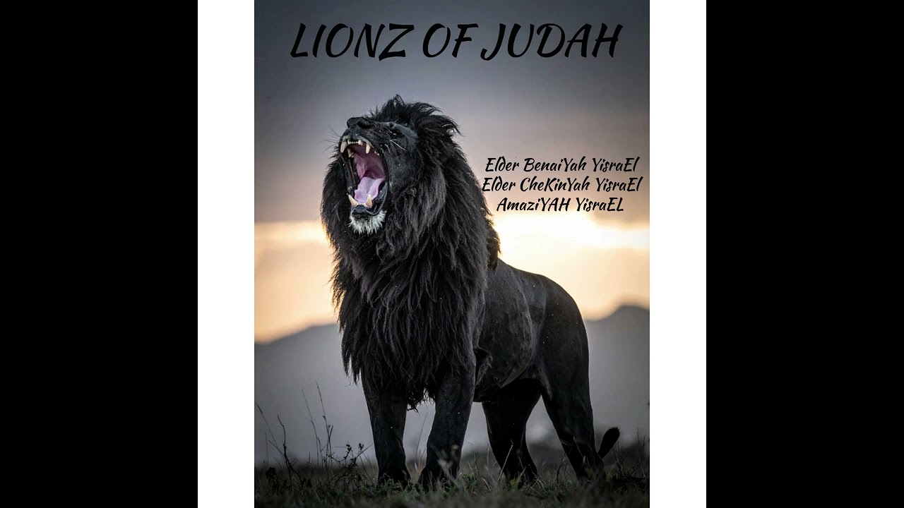 Lionz Of Judah