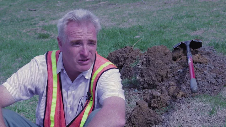 Spot Feature from STN 2018