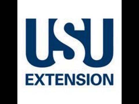 USU Extension IVC Internal Control Basics