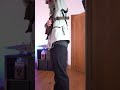 200 IQ required to use this bag #shorts #techwear