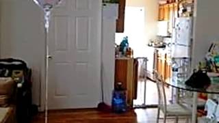 10921 54th Ave video tour
