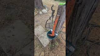 Gypo logging crummy and falling a large north idao Tamarack tree. 