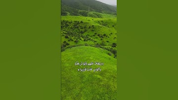 #سورة_الإنسان #قران_كريم #قرآن#قران #تلاوة_خاشعة#تسبيح#اكسبلور#اكسبلور#اكسبلور_فولو#قرآن