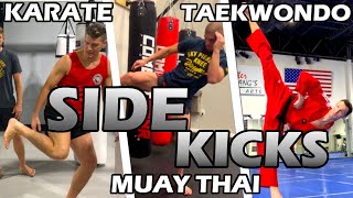 Download Lagu How Different Martial Arts SIDE KICK | Karate v Taekwondo v Muay Thai YOKO GERI MP3