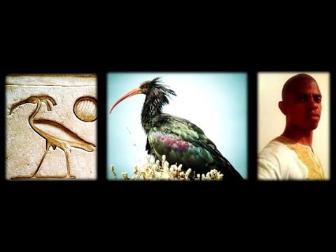 AKYISAN NE HONHOM Ancestral Religion And Effective Reformation