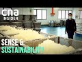 A Sugar Maker's Taste For Sustainable Future Food | Sense & Sustainability | Full Episode