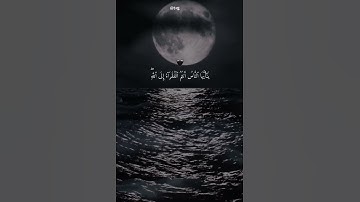 ياأيها الناس أنتم الفقراء إلى الله والله هو الغني الحميد #ناصر_القطامي #سورة_فاطر