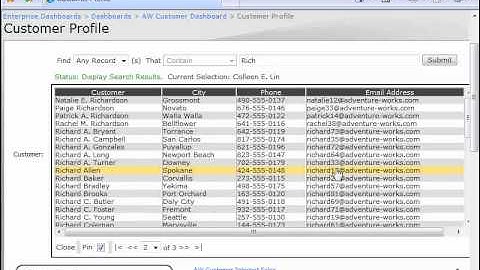 PerformancePoint Text Search Filter - Features