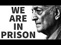 We are in Prison - J. Krishnamurti