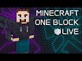 One Block Survival! Family Minecraft Time!