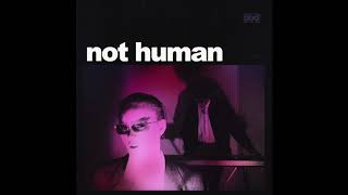 Video thumbnail of "DOG Power - Not Human - Official Audio"