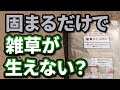 【雑草対策】冬にやると1番安くできる雑草対策