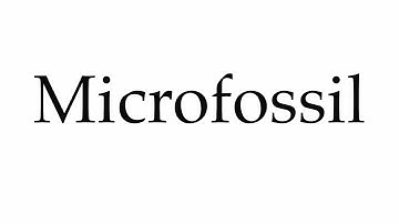 How to Pronounce Microfossil