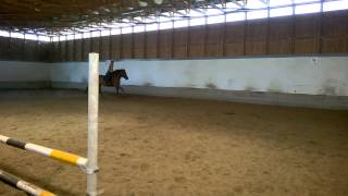 WP 20140806 031