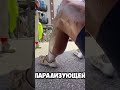 Что-то произошло с ногой велосипедиста спустя 9 часов езды