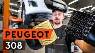 DIY PEUGEOT 1007 repareer - auto videogids downloaden