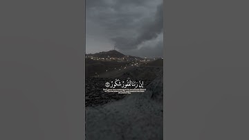 #ماهر_المعيقلي #تلاوة_خاشعة #تلاوات_نادرة #تلاوة_مميزة