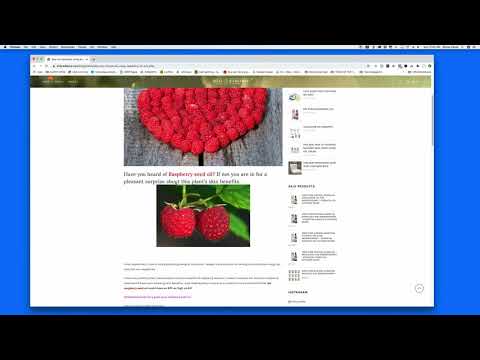 red raspberry seed