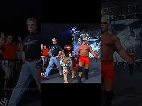 Wrestlers Brought Animals To The Ring