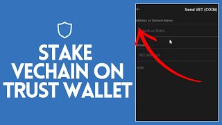 How To Stake Vechain On Trust Wallet 2024? Trust Wallet Tutorial