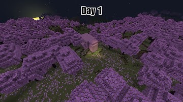 Mining One Block In Minecraft Until I Find Diamonds || Day 1