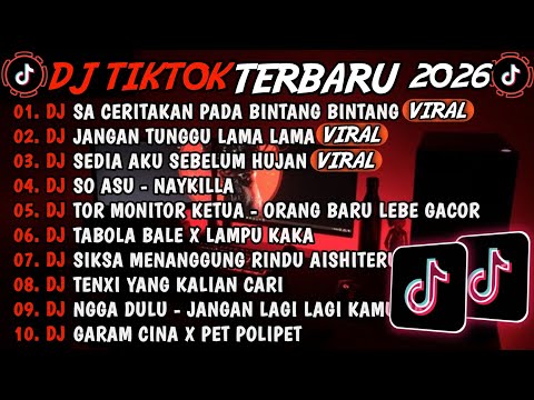 DJ GARAM CINA VIRAL TIKTOK ❗DJ TEBANG FT DJ PANDA 