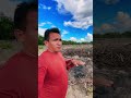 Dá uma olhada o jeito que ela ficou #roça #Coivara