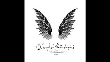 ما تيسر من "سورة الأحزاب"الايه(٤١-٤٣)بصوت احمد خضر،حالات واتساب،قران كريم🌺