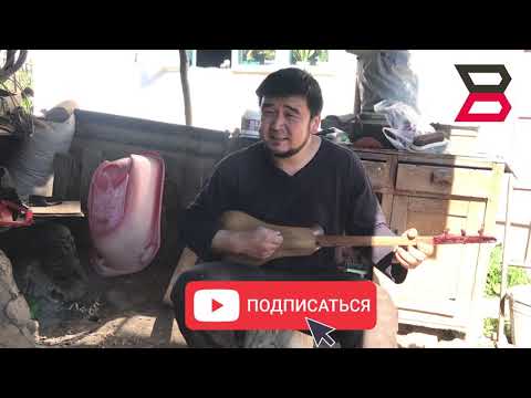 Video: Сиз үкүлөргө аңчылык кыла аласызбы?
