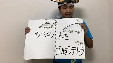 ウィーアーワンピース100話 ウィーアーワンピース100話