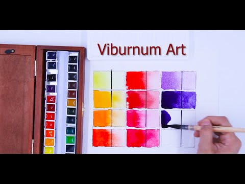 Viburnum Art Professional Watercolor Paint Set - 24 Half Pan Highly  Pigmented Transparent Water Color Paints with #4 Synthetic Water color  Brush