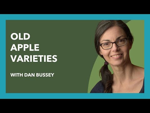 Growing Old Apple Varieties with Dan Bussey 🌳 #fruittrees