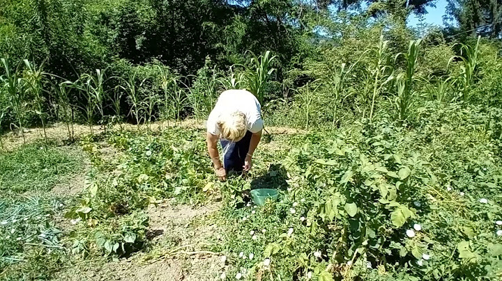 Pogledajte sta je to Fatima nasla u vrtliču