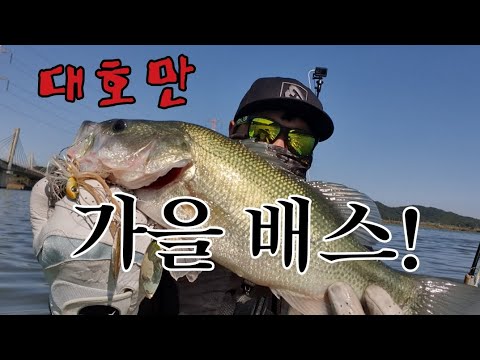 배스 마릿수 원하시면  대호만 입니다!! bassfishing – バス釣り