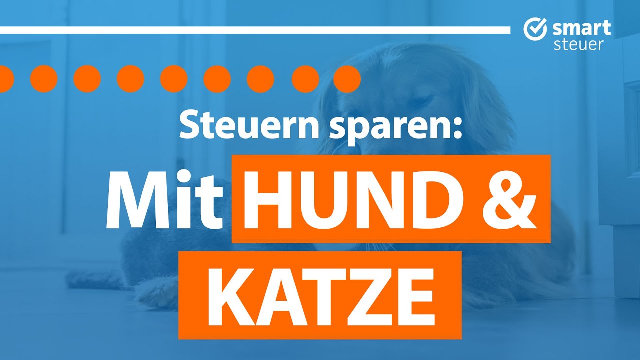 Hund & Katze: Steuern sparen und Haustiere von der Steuer absetzen in der Steuererklärung