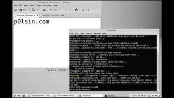 Linux Mint15 connect OpenVPN via Endian