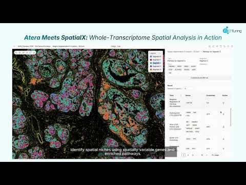 10x Genomics Atera in SpatialX — What Whole-Transcriptome Spatial Looks Like in Practice
