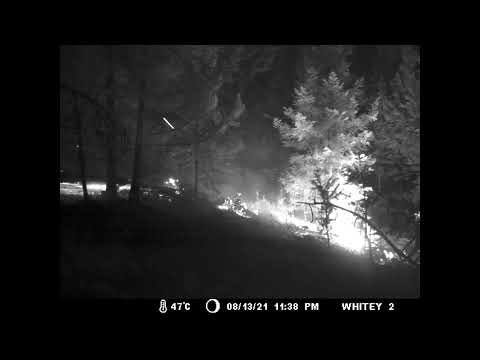 Trail Cam Video of the 2021 Tremont Creek fire near Ashcroft, BC