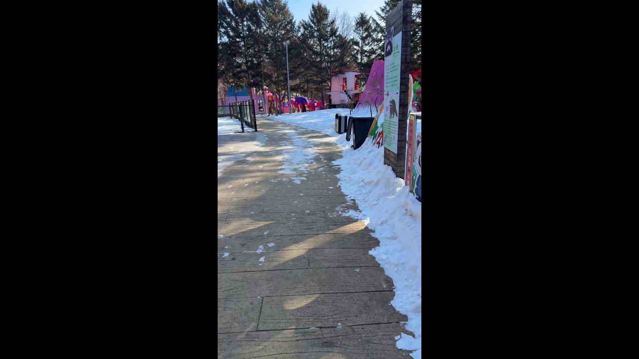 🔴 LIVE: Red Panda Fun