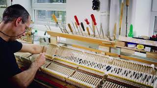 Stations Of The Steinway Hamburg Factory Tour - 𝐓𝐇𝐄 𝐑𝐄𝐆𝐔𝐋𝐀𝐓𝐈𝐎𝐍 - Steinway Sons Việt Thương
