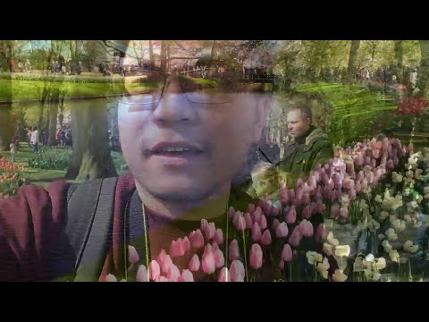 Video: Các điểm Tham Quan ở Hà Lan: Khu Vườn Keukenhof
