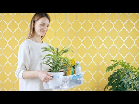 Ящики Grand Box от компании «Бытпласт» Ящики Grand Box от компании «Бытпласт»