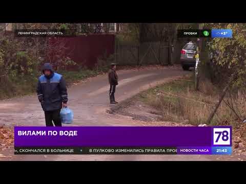 Во Всеволожске застраивают пережившее мамонтов озеро