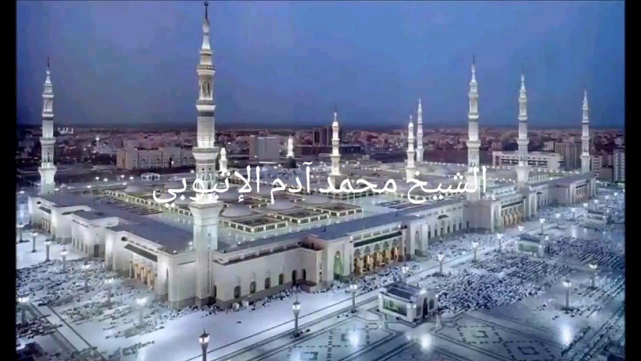 الشيخ محمد آدم الإثيوبي ...فائدة عظيمة في قراءة الحديث