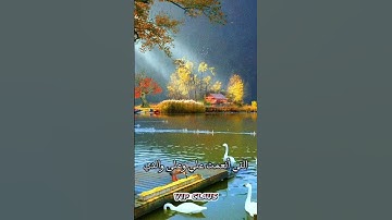 سورة النمل | فتبسم ضاحكا من قولها