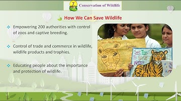 Knowledge Tree Books E.V.S Class 5 Chapter 7