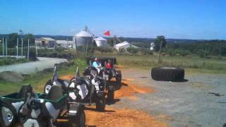 Cow Train Debut 2011