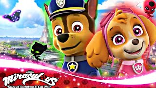 Chase X Skye Miraculous Ladybug Tribute